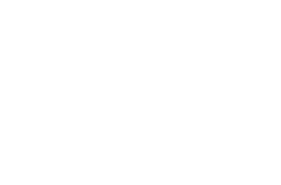 Client_Logo_Liebherr