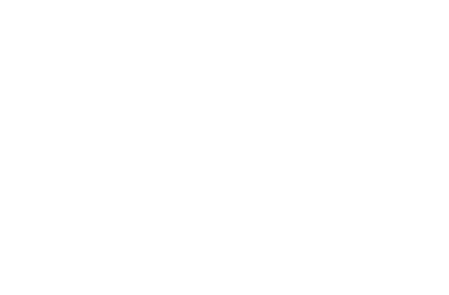 Client_Logo_Porsche