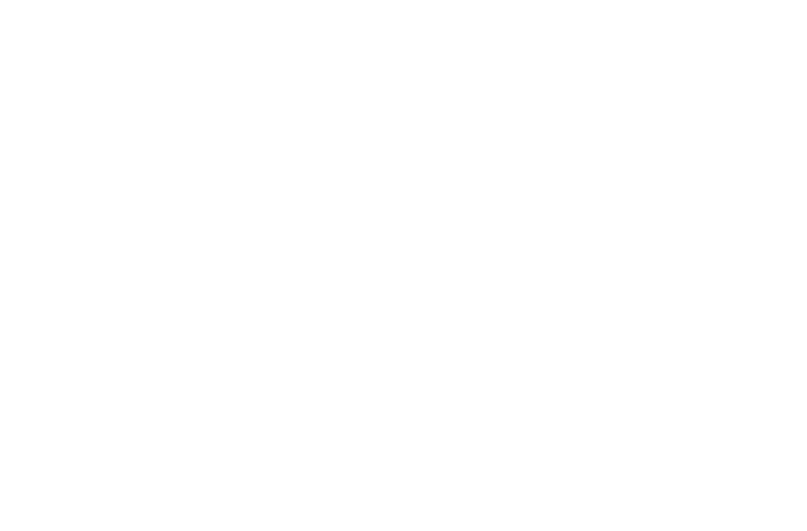 Client_Logo_Skoda